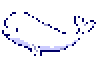 Beluga